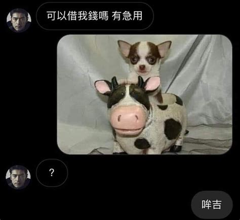 牟吉 梗圖